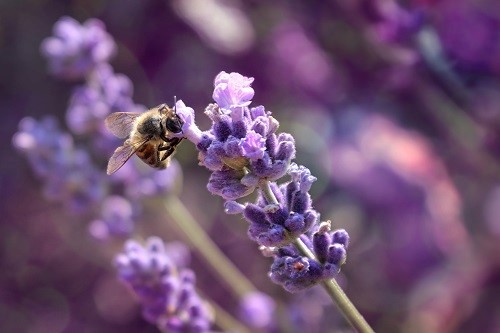 Under the Act, biodiversity net gain requirements will apply to nationally significant infrastructure projects such as major transport developments. Photograph: iStock