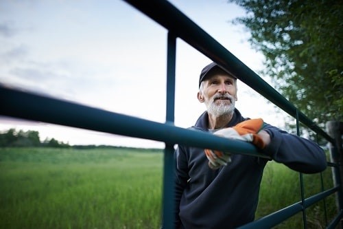 The rate of workplace fatal injury in agriculture remains the highest of any sector. Photograph: iStock