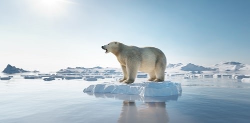 Reporting gives government a clear picture of our collective exposure to climate risk. Photograph: iStock