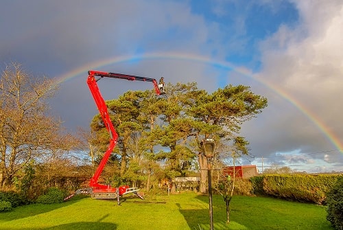 Treecare Or Arboriculture Is A Key Sector For Electrocutions